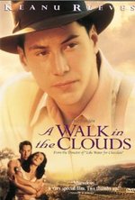 Watch A Walk in the Clouds online free.