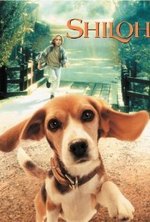 Watch Shiloh online free.