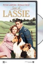 Guarda online Il figlio di Lassie gratuitamente. Il figlio di Lassie poster