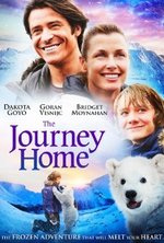 Watch Midnight Sun online free. Midnight Sun poster