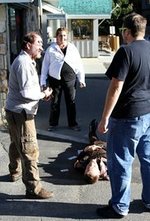 Смотреть Dead Stop онлайн бесплатно.